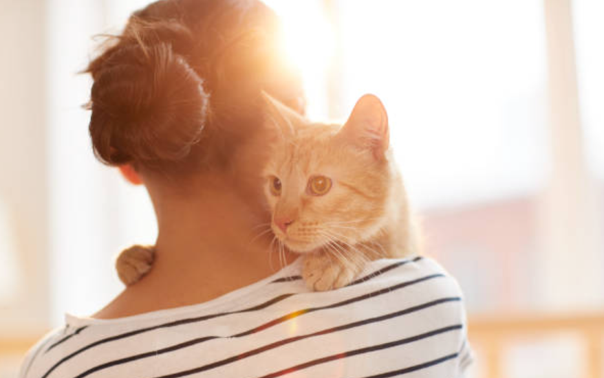 L'amour entre un chien ou un chat et son maître : une connexion scientifiquement prouvée